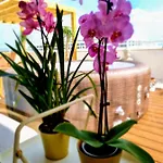 Penthouse Rentalbufeira אלבופיירה